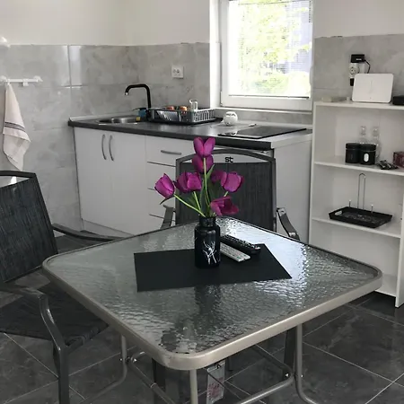 Apartment Jovik *